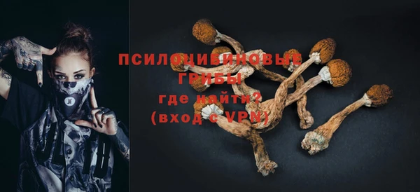mdpv Белокуриха