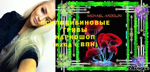 Альфа ПВП Богородицк