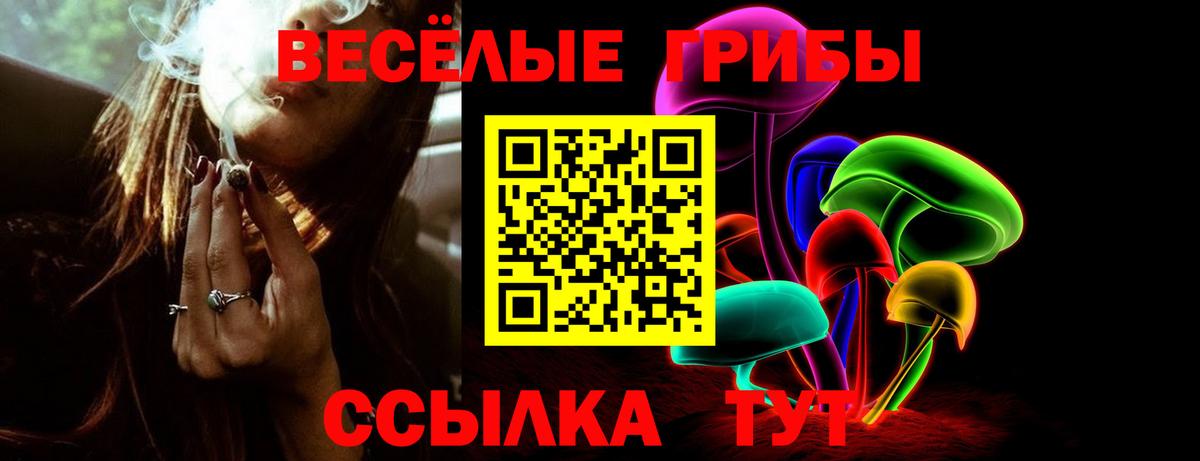 Псилоцибиновые грибы ЛСД Белебей